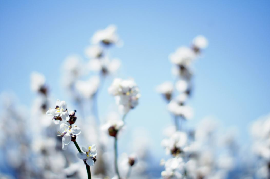 How to Wear Organic Cotton Without Losing Style Points