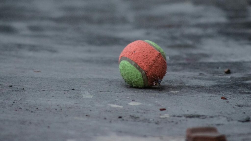 tennis ball hopper worth buying